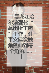 黑龙江哈尔滨强化“派出所主防”工作，让平安建设触角延伸到每个角落……