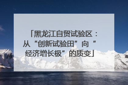 黑龙江自贸试验区：从“创新试验田”向“经济增长极”的质变