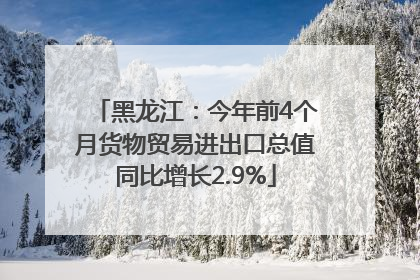 黑龙江：今年前4个月货物贸易进出口总值同比增长2.9%