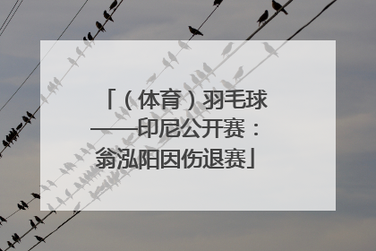 （体育）羽毛球——印尼公开赛：翁泓阳因伤退赛