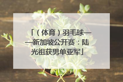 （体育）羽毛球——新加坡公开赛：陆光祖获男单亚军