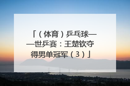 （体育）乒乓球——世乒赛：王楚钦夺得男单冠军（3）