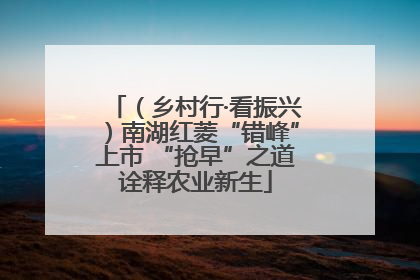 （乡村行·看振兴）南湖红菱“错峰”上市 “抢早”之道诠释农业新生