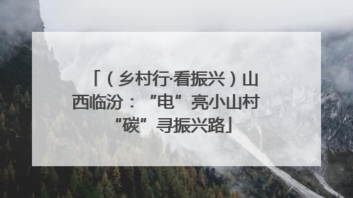 （乡村行·看振兴）山西临汾：“电”亮小山村 “碳”寻振兴路