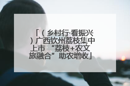 （乡村行·看振兴）广西钦州荔枝集中上市 “荔枝+农文旅融合”助农增收