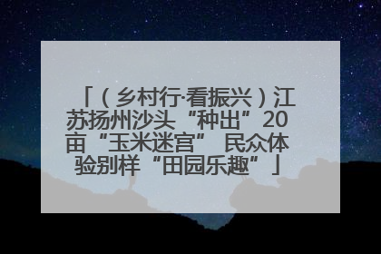 （乡村行·看振兴）江苏扬州沙头“种出”20亩“玉米迷宫” 民众体验别样“田园乐趣”