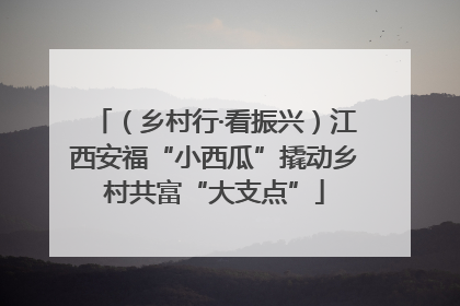 （乡村行·看振兴）江西安福“小西瓜”撬动乡村共富“大支点”
