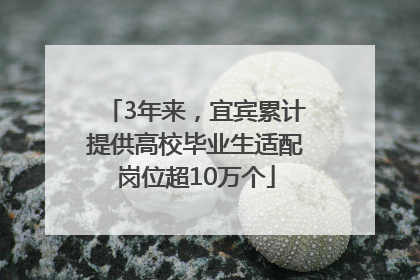 3年来，宜宾累计提供高校毕业生适配岗位超10万个