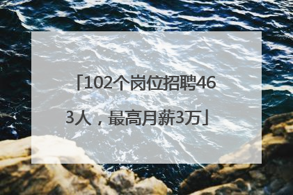 102个岗位招聘463人,最高月薪3万