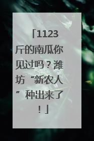 1123斤的南瓜你见过吗？潍坊“新农人”种出来了！