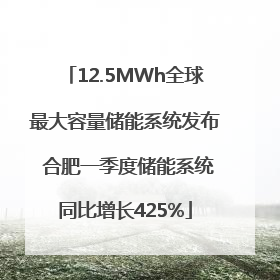 12.5MWh全球最大容量储能系统发布 合肥一季度储能系统同比增长425%