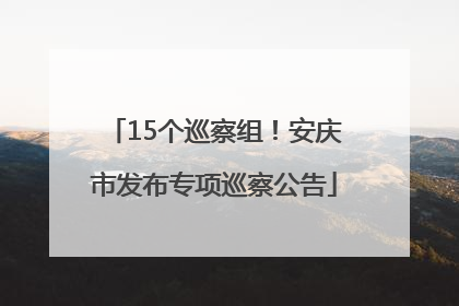 15个巡察组！安庆市发布专项巡察公告