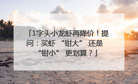 1字头小龙虾再降价！提问：买虾 “钳大” 还是 “钳小” 更划算？