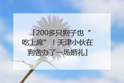 200多只狗子也“吃上席”！天津小伙在狗舍办了一场婚礼