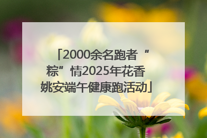 2000余名跑者“粽”情2025年花香姚安端午健康跑活动