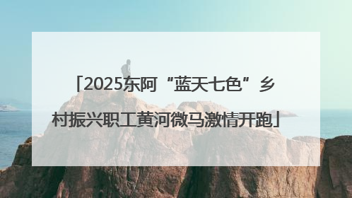 2025东阿“蓝天七色”乡村振兴职工黄河微马激情开跑