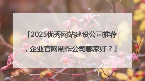 2025优秀网站建设公司推荐，企业官网制作公司哪家好？