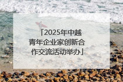 2025年中越青年企业家创新合作交流活动举办