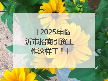 2025年临沂市招商引资工作这样干！