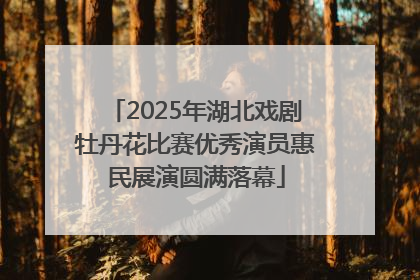 2025年湖北戏剧牡丹花比赛优秀演员惠民展演圆满落幕