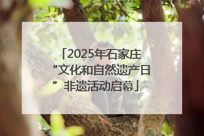 2025年石家庄“文化和自然遗产日”非遗活动启幕