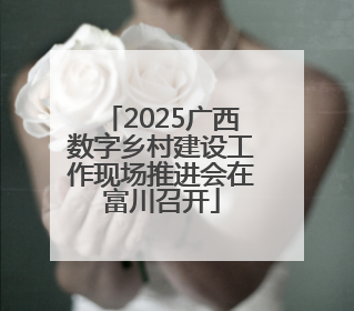 2025广西数字乡村建设工作现场推进会在富川召开
