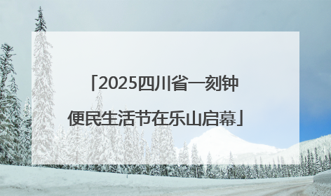 2025四川省一刻钟便民生活节在乐山启幕