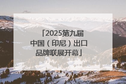 2025第九届中国（印尼）出口品牌联展开幕