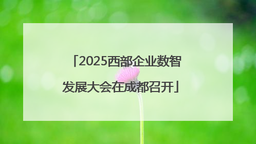 2025西部企业数智发展大会在成都召开