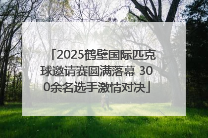 2025鹤壁国际匹克球邀请赛圆满落幕 300余名选手激情对决