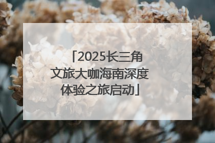 2025长三角文旅大咖海南深度体验之旅启动