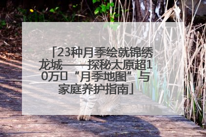 23种月季绘就锦绣龙城——探秘太原超10万㎡“月季地图”与家庭养护指南
