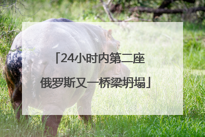 24小时内第二座 俄罗斯又一桥梁坍塌