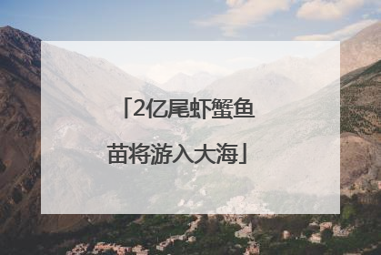 2亿尾虾蟹鱼苗将游入大海
