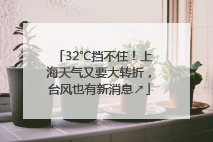 32℃挡不住！上海天气又要大转折，台风也有新消息↗