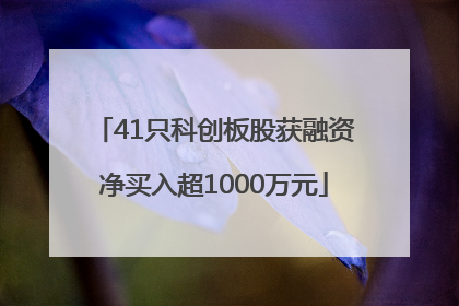 41只科创板股获融资净买入超1000万元