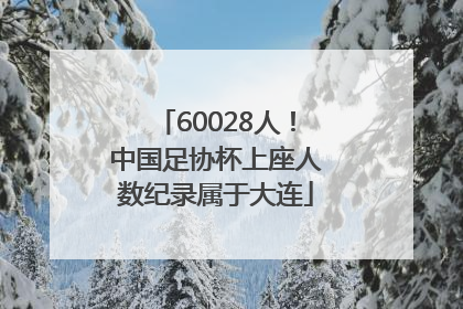60028人！中国足协杯上座人数纪录属于大连
