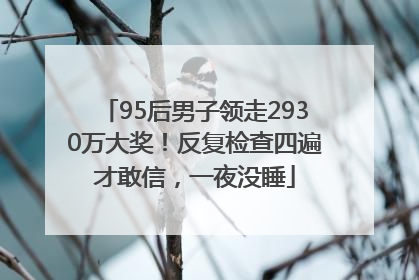 95后男子领走2930万大奖！反复检查四遍才敢信，一夜没睡