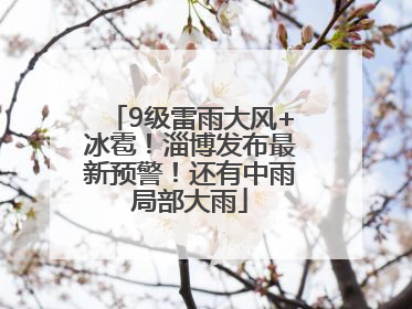 9级雷雨大风+冰雹！淄博发布最新预警！还有中雨局部大雨