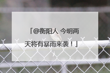 @衡阳人 今明两天将有暴雨来袭！