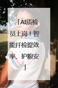 AI质检员上岗！智能扦检提效率、护粮安