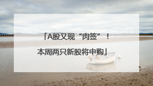 A股又现“肉签”！本周两只新股将申购