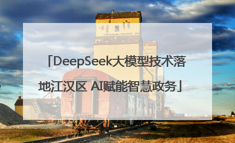 DeepSeek大模型技术落地江汉区 AI赋能智慧政务