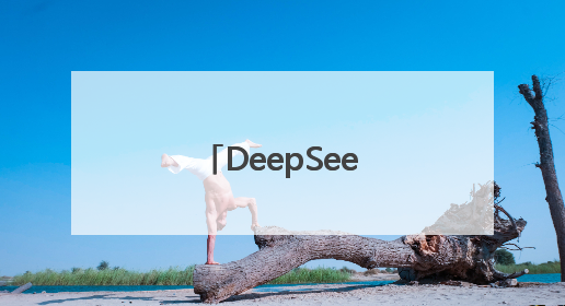 DeepSeek，新消息！