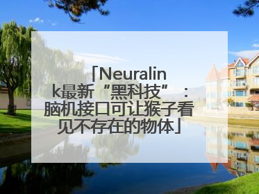Neuralink最新“黑科技”：脑机接口可让猴子看见不存在的物体