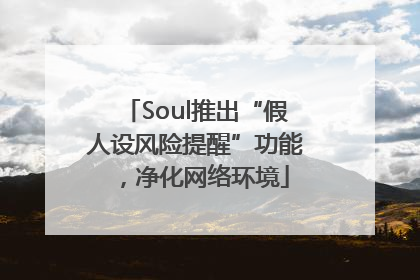 Soul推出“假人设风险提醒”功能，净化网络环境